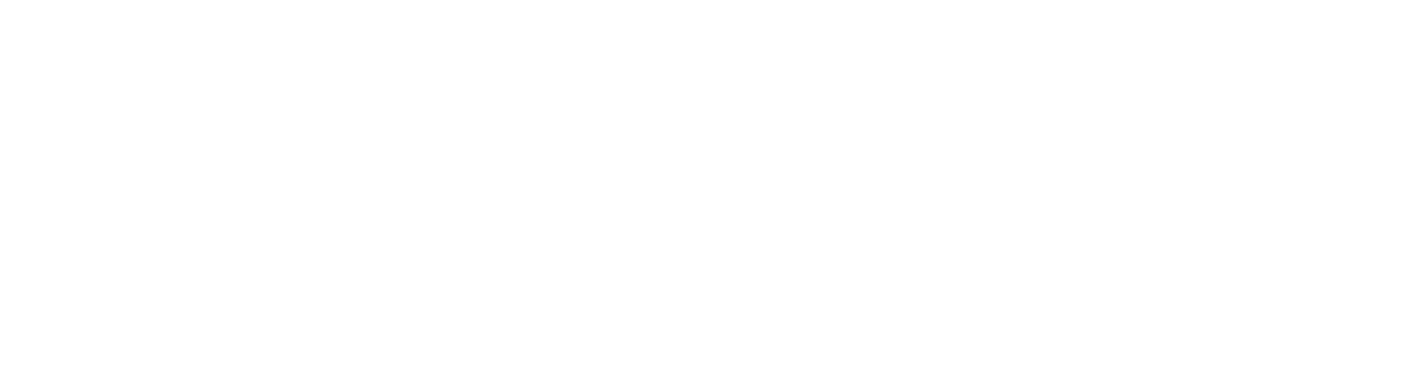 NestInsights